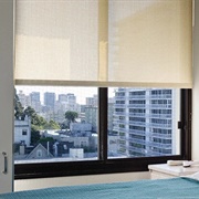 Window Shade