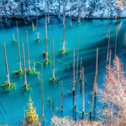 Kaindy Lake, Kazakhstan