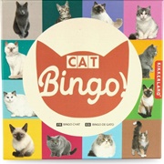 Cat Bingo Kikkerland