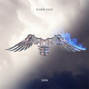 Icarus Falls - Zayn