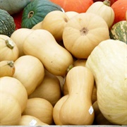 Hybrid Squash