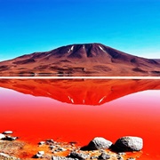 Red Lagoon, Bolivia