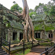 Ta Prohm, Cambodia