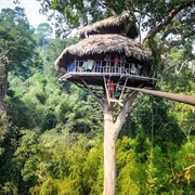 The Gibbon Experience, Laos