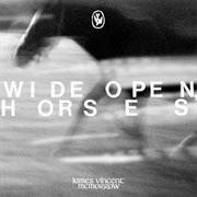 James Vincent McMorrow - Wide Open Horses