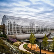 Crystal Bridge Tropical Conservatory