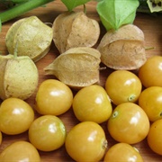 Ground Cherries