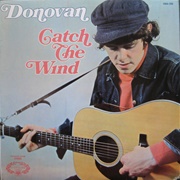 Donovan - Catch the Wind