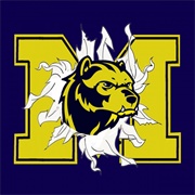 Michigan Wolverines