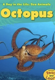 Octopus (Louise Spilsbury)