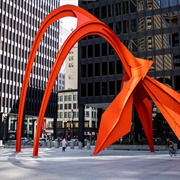 Flamingo, Chicago