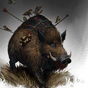 Boar (2)