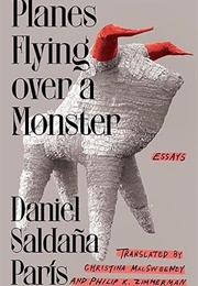 Planes Flying Over a Monster (Daniel Saldana Paris)