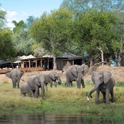 Mana Pools National Park, Zimbabwe