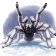 Ice Spider (3)