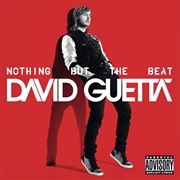 Nothing Really Matters - David Guetta Featuring Will.I.Am