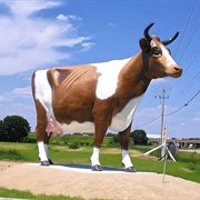 Bessie the Cow, USA