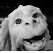 Falkor