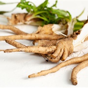 Chicory Root