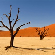 Kalahari Desert (Botswana, South Africa, Namibia)