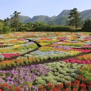 Taketa, Oita, Japan