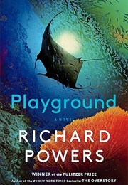 Playground (Richard Powers)