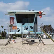 Rosie&#39;s Dog Beach, Long Beach