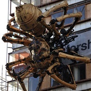 A Large Mechanical Spider