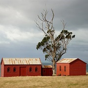 Matanka Farm