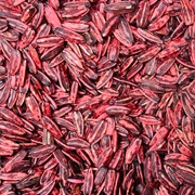 Chili Sunflower Seeds