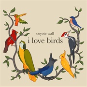 Coyote Wall - I Love Birds