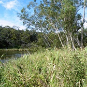 Lower Glenelg National Park