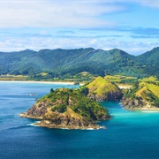 Great Barrier Island, New Zealand