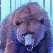 Bear (2)