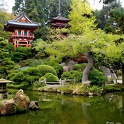 Japanese Tea Garden, USA