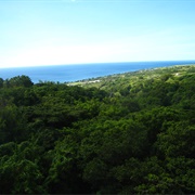 St Kitts Sky Safari