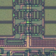 Biological Motherboard