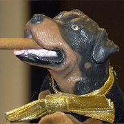 Triumph the Insult Comic Dog