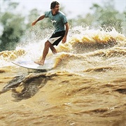 Surfing the Amazon