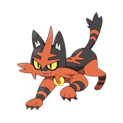 Torracat