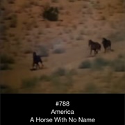 #298 a Horse With No Name by America