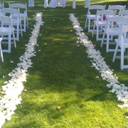 Flower Petals on Edges of Aisle