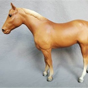 Quarter Horse Yearling