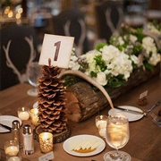 Pinecones Wedding Table Decoration