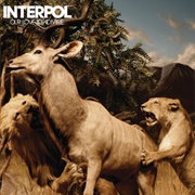 The Scale - Interpol