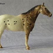 Appaloosa Performance Horse