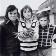 Portsmouth: John Payne, Aged Twelve, With Two Friends and His Pigeon (Daniel Meadows)