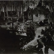 Filming the Wizard of Oz