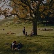 Sheep Wranglers (Justine Kurland)