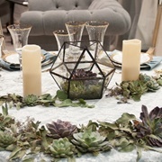 Terrarium Centerpieces